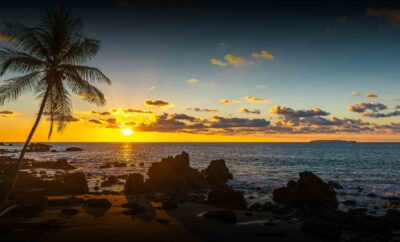 🌴 ¡Top 5 Tours en Playa Tamarindo, Costa Rica! 🐠 🌅